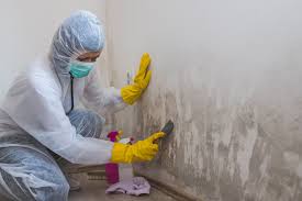 Best Residential Mold Inspection & Testing  in Wappingers Falls, NY